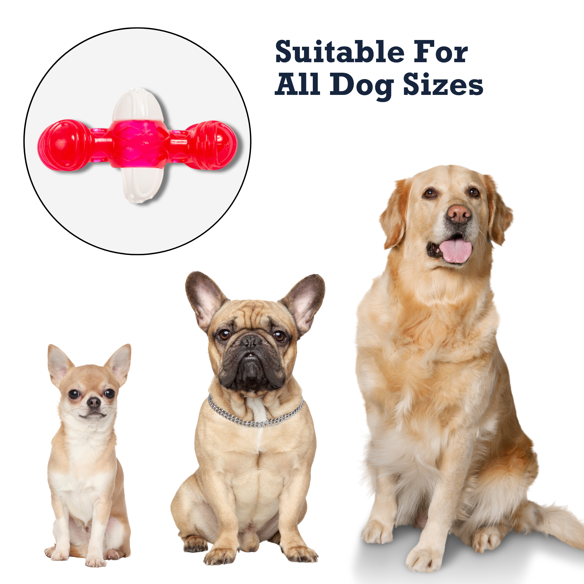 Country Living TPR & Nylon Quacker Bone Chew Toy for Dogs – with Engaging Quacking Sound - BIG FRENCHIES