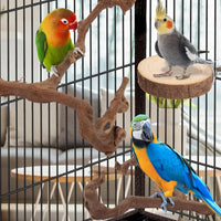 Natural Bird Perch Set – 6PC Grapewood & Peppercorn Branch Perches, Toys