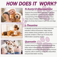Pet Urinary Tract Support Capsules Cat Dog Bladder Kidney Health Supplement