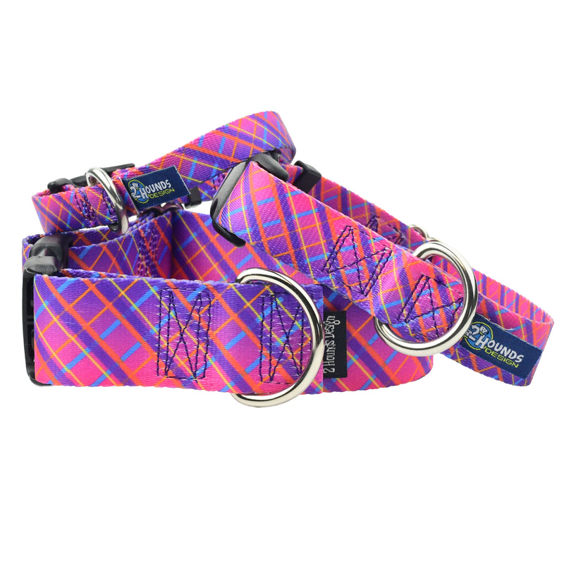 Neon Sunrise Pink Plaid Buckle Martingale Dog Collar – EarthStyle-Pet Collars & Leashes-BIG FRENCHIES-2 Hounds Design