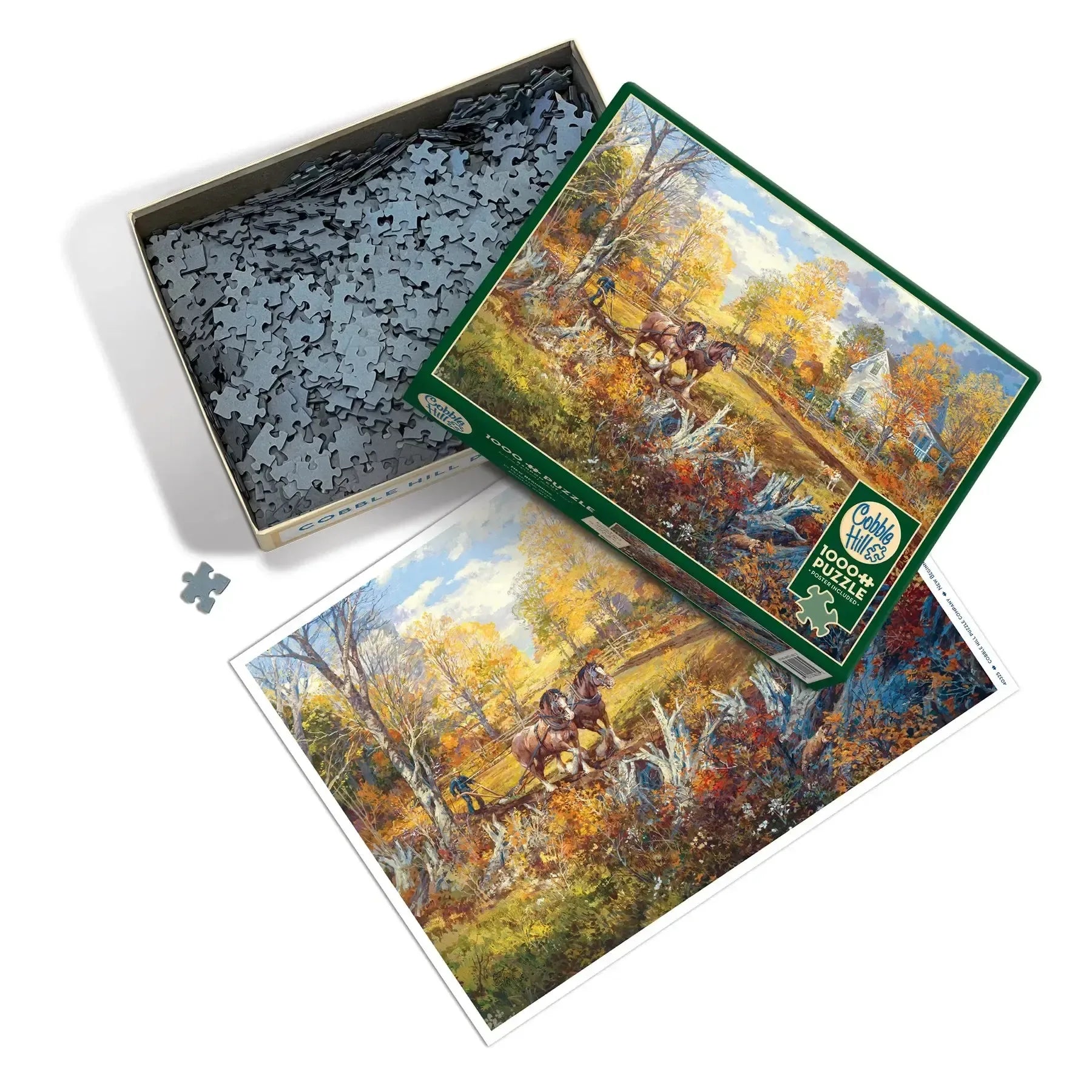 New Beginning 1000 Piece Jigsaw Puzzle Cobble Hill - BIG FRENCHIES
