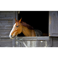 Sweet PDZ Horse Stall Refresher Granules Odor Eliminator 40lbs.