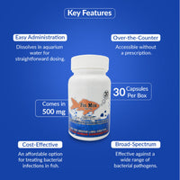 Fish Mox 500mg Capsules for Aquarium Fish – 30 Count – Water Care Support