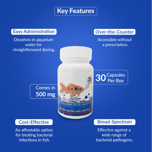 Fish Mox 500mg Capsules for Aquarium Fish – 30 Count – Water Care Support