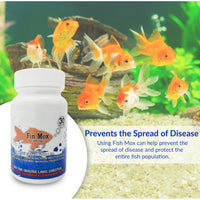 Fish Mox 500mg Capsules for Aquarium Fish – 30 Count – Water Care Support
