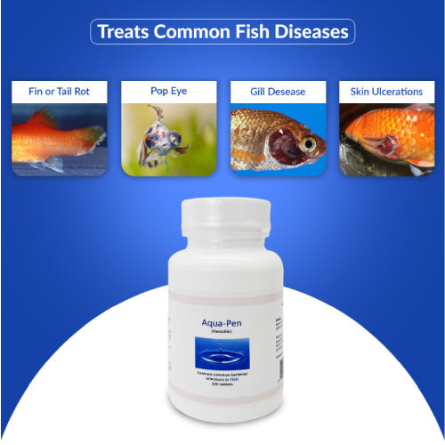 Fin Pen 250mg Capsules for Aquarium Fish – 100 Count – Water Care Support