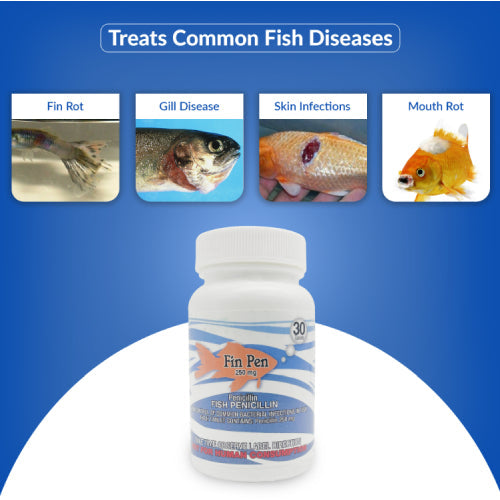 Fin Pen 250mg Tablet for Aquarium Fish – 30 Count – Water Care Support