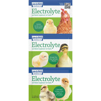 Sav-A-Chick 18PK Bundle Electrolyte Vitamin & Probiotic Poultry Health Packets