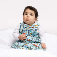 One & Done Sleep Sack - Cars - BIG FRENCHIES