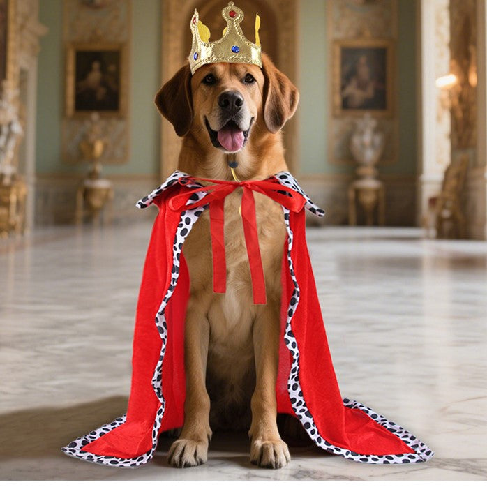 Dog Royal Cape & Crown Set-Pet Apparel-BIG FRENCHIES-Jane's Pet Boutique