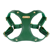 Luxury Leather Dog Harness & Leash Set – Brown/Green