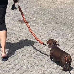 Funny Sausage Dog Leash – Hot Dog Style for Small Pets-Pet Collars & Leashes-BIG FRENCHIES-Jane's Pet Boutique