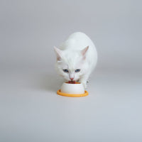 Lick Slow Feed Toy