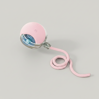 Auto-Wake Smart Ball Toy