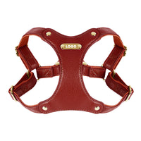 Luxury Leather Dog Harness & Leash Set – Brown/Green