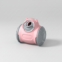 Slow Feeder Toy