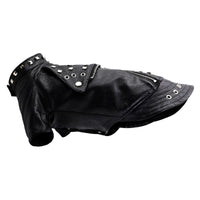 Dog Leather Jacket with Studs – Punk Rock Style