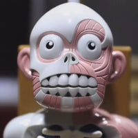 The human body's internal organs are structurally quirky and can vibrate-MEACAOFG