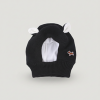 Rabbit Ear Dog Hat