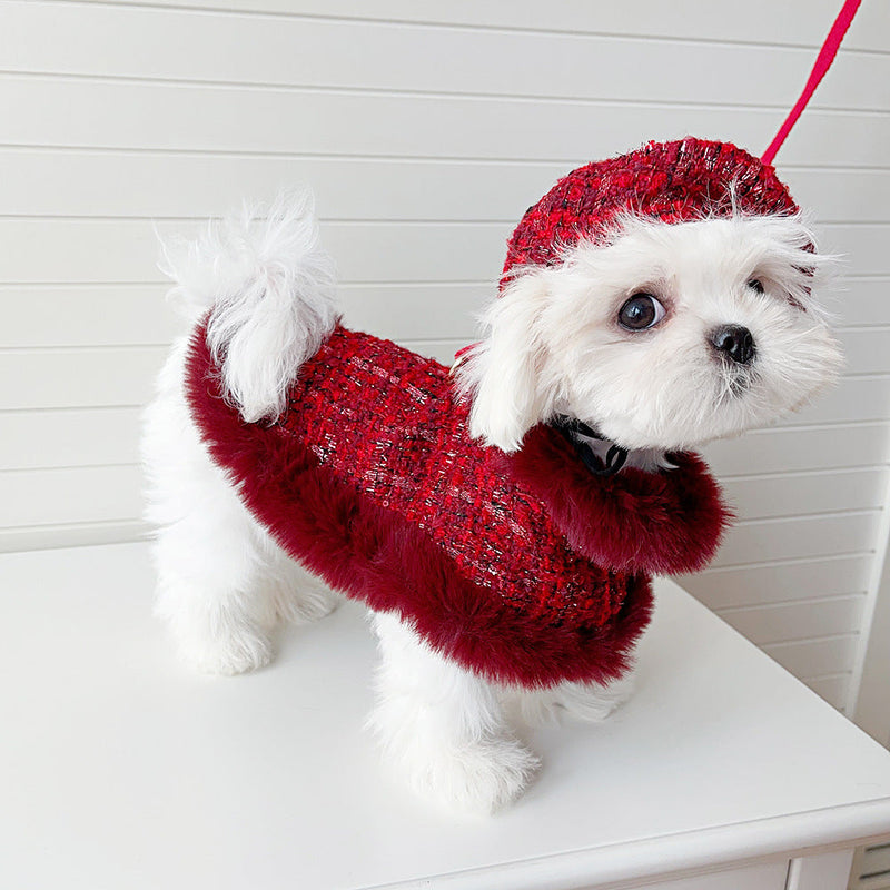 Dog cape+hat+leash sets wine tweed-Pet Apparel-BIG FRENCHIES-Jane's Pet Boutique