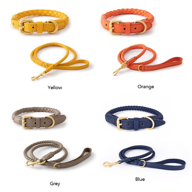 Luxury Braided Leather Dog Collar+Leash Set – Eco-Friendly, Durable, Stylish-pet collar-BIG FRENCHIES-Jane's Pet Boutique