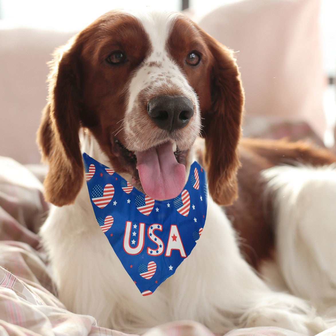Patriotic USA Dog Bandana Reversible Independence Day Pet Scarf Collar Accessory-Pet Collars & Leashes-BIG FRENCHIES-Jane's Pet Boutique