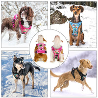 Reflective Padded Dog Harness+Leash Set with Floral Print
