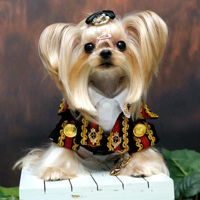 Handcrafted Royal Military Pet Suit Gold Trimmed Dog Outfit Jacket Suit Shirt Two-Piece Prince Uniform Badge-Pet Apparel-BIG FRENCHIES-Jane's Pet Boutique