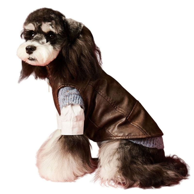 Chic Pup Leather Vest Dog Clothing-Pet Apparel-BIG FRENCHIES-Jane's Pet Boutique