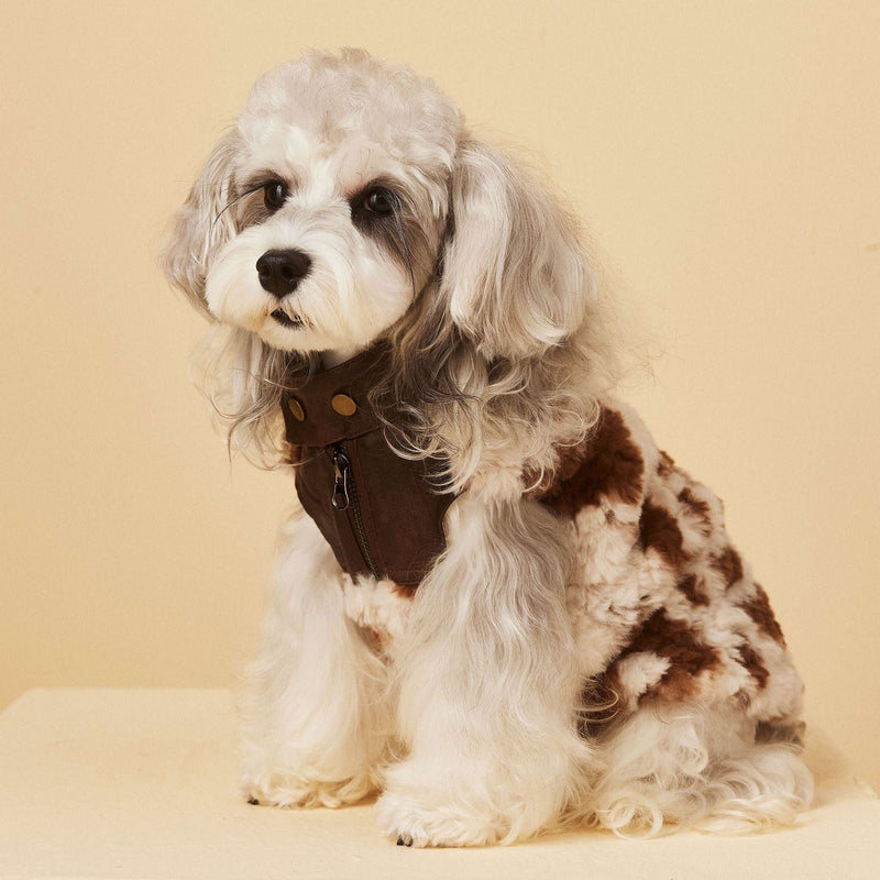 Cow Print Faux Shearling Dog Jacket-Pet Apparel-BIG FRENCHIES-Jane's Pet Boutique