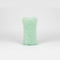 Interactive Catnip Plush Pillow