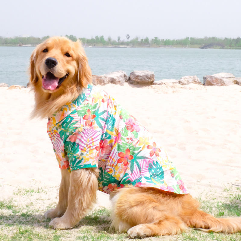 Dog Hawaii beach shirt 3 colors-Pet Apparel-BIG FRENCHIES-Jane's Pet Boutique
