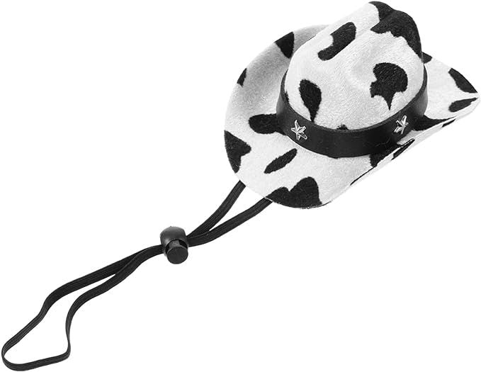 Cowboy hat in cow