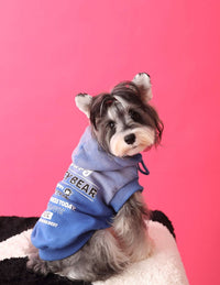 Dog hoodie cool 2