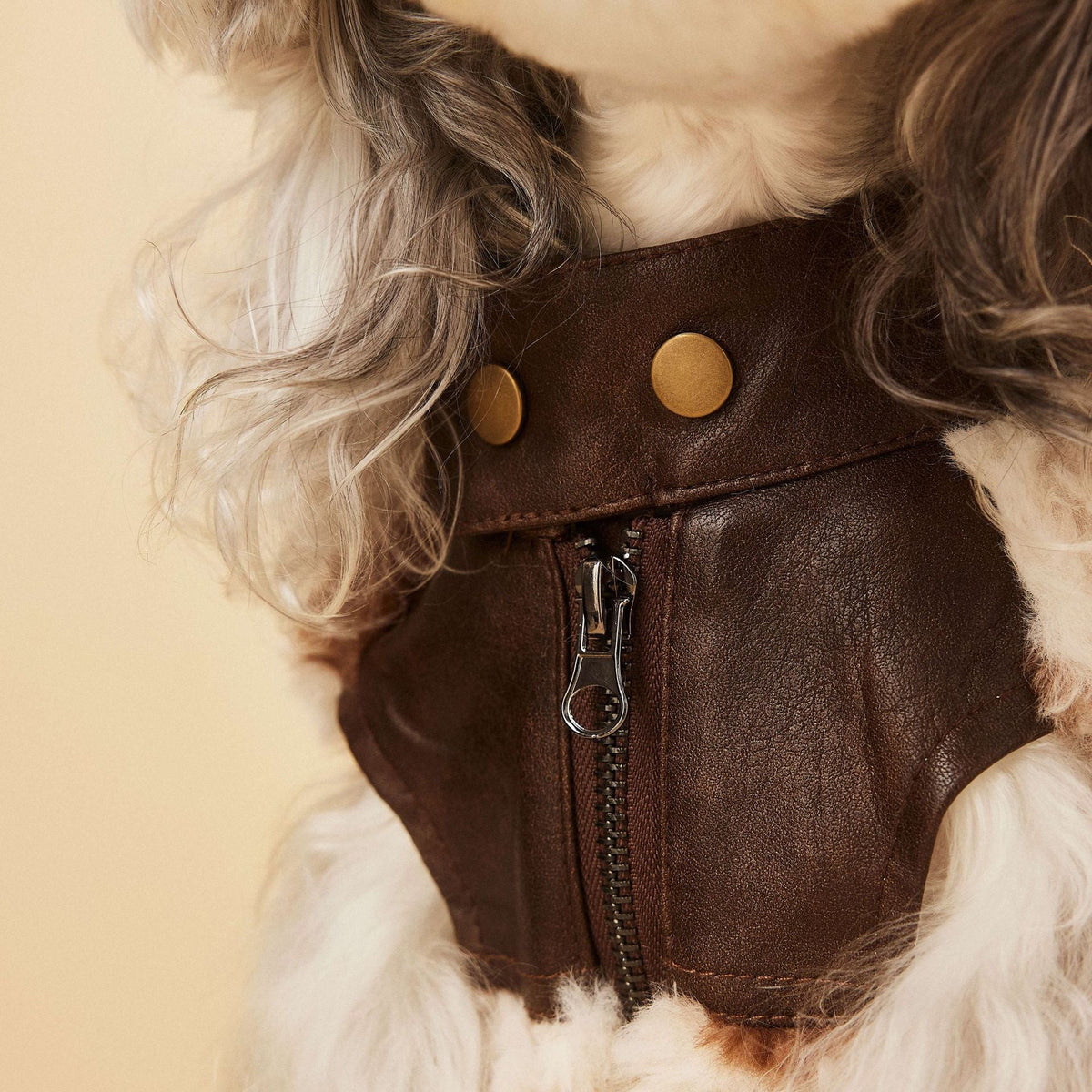 Cow Print Faux Shearling Dog Jacket-Pet Apparel-BIG FRENCHIES-Jane's Pet Boutique