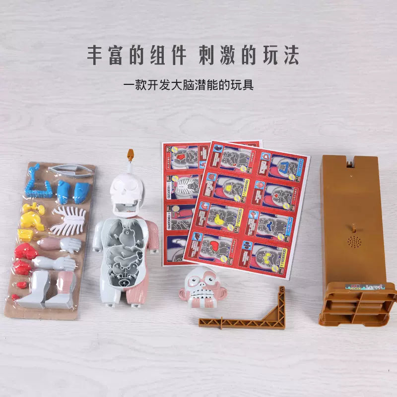 The human body's internal organs are structurally quirky and can vibrate-MEACAOFG