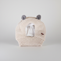 Rabbit Ear Dog Hat