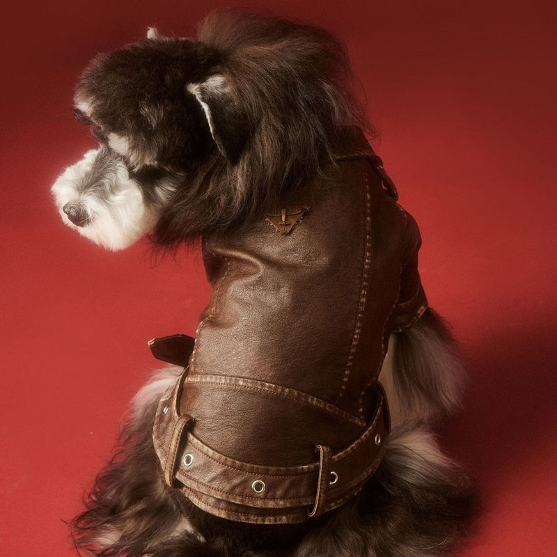 Aviator Pup Dog Leather Jacket-Pet Apparel-BIG FRENCHIES-Jane's Pet Boutique