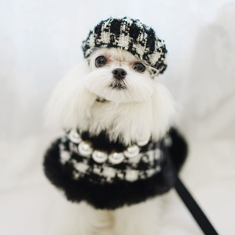 Dog cape+hat+leash sets Houndstooth-Pet Apparel-BIG FRENCHIES-Jane's Pet Boutique