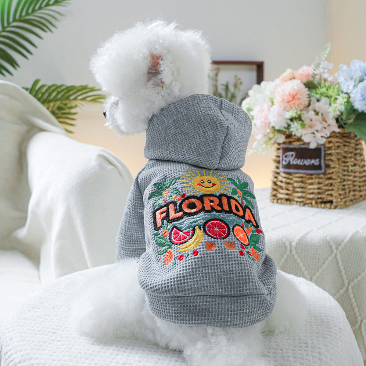 Florida Sunshine Dog Hoodie-Pet Apparel-BIG FRENCHIES-Jane's Pet Boutique