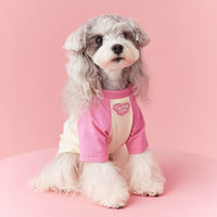 Star Pup Tee Dog Cat Clothing