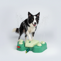 AquaPaw  Outdoor Play & Hydration Station