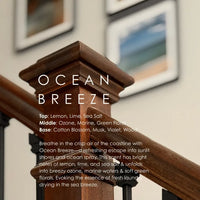 Ocean Breeze Reed Diffuser - BIG FRENCHIES