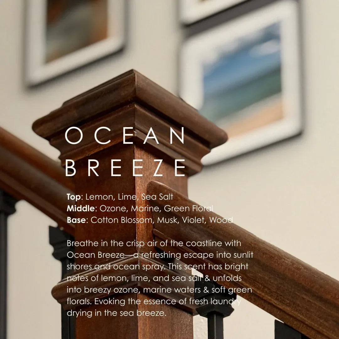Ocean Breeze Reed Diffuser - BIG FRENCHIES