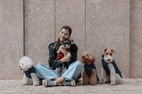 Reversible Dog Vest Jacket -  Red Brown