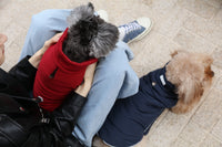 Reversible Dog Vest Jacket - Red