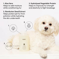 OUAI Fur Baby Pet Shampoo Mercer Street Scent Hydrating Dog Wash 16oz