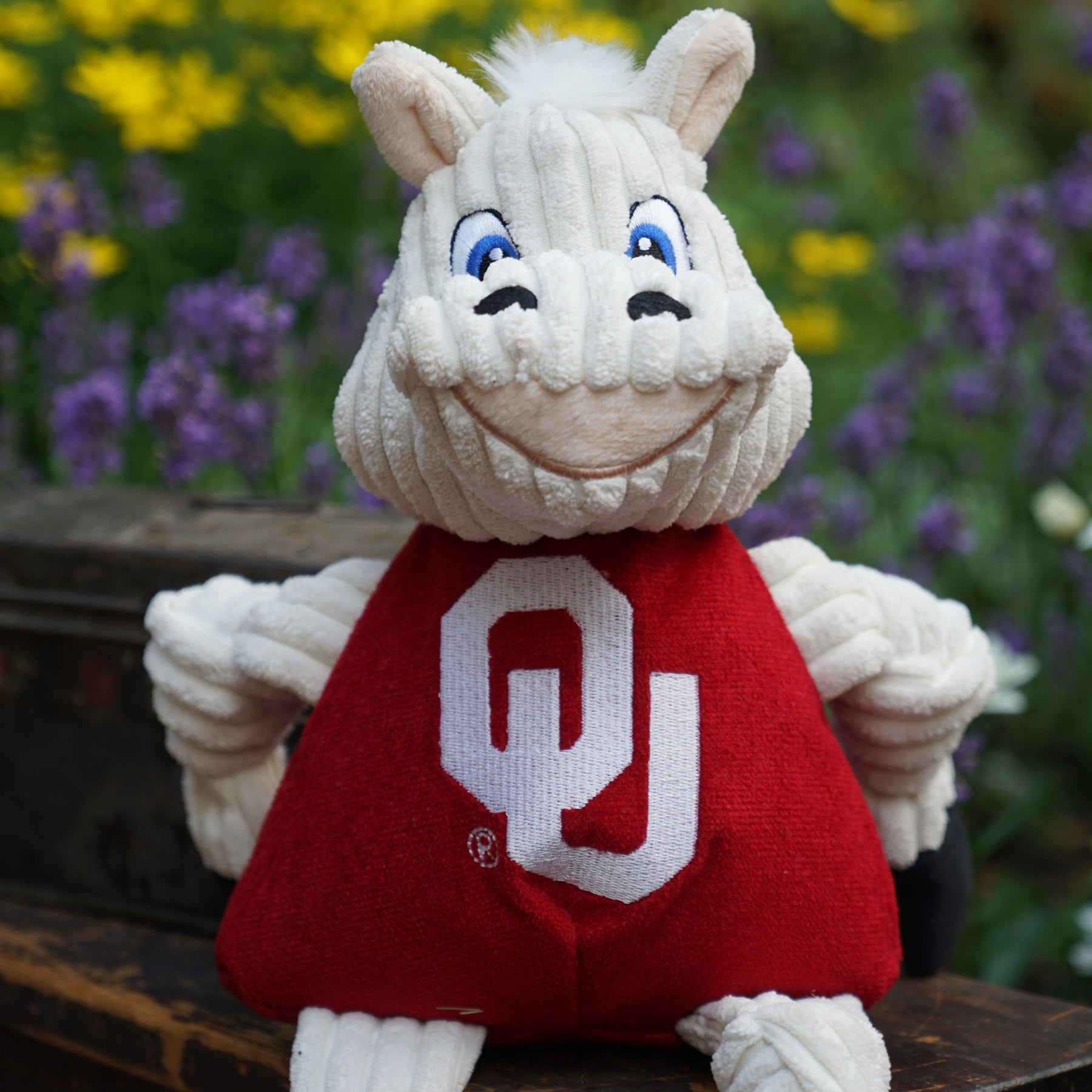 NCAA University of Oklahoma, Sooner Knottie® Plush Dog Toy - BIG FRENCHIES