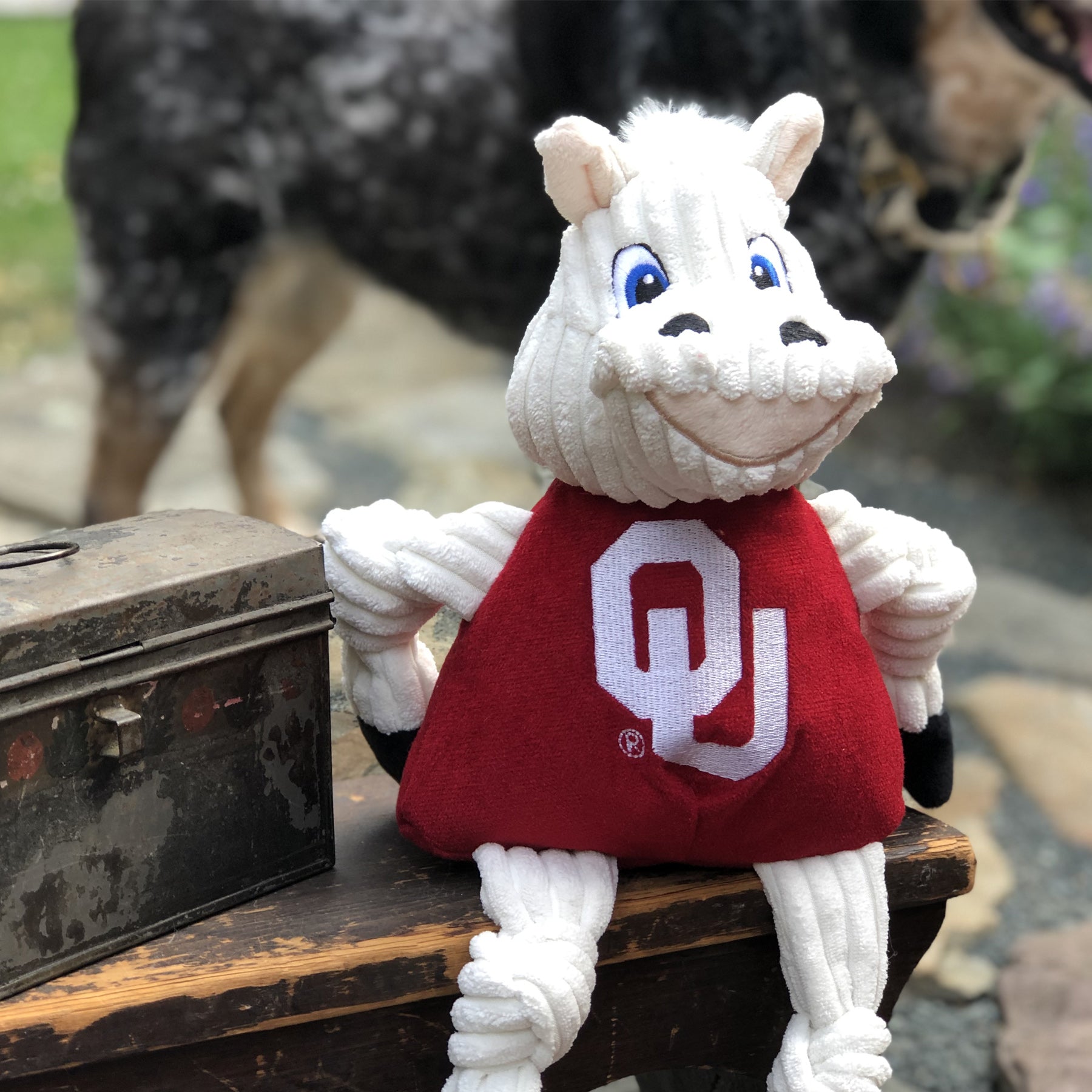 NCAA University of Oklahoma, Sooner Knottie® Plush Dog Toy - BIG FRENCHIES