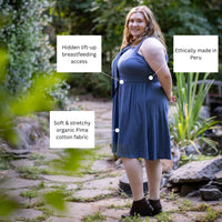 Olivia Nursing Dress